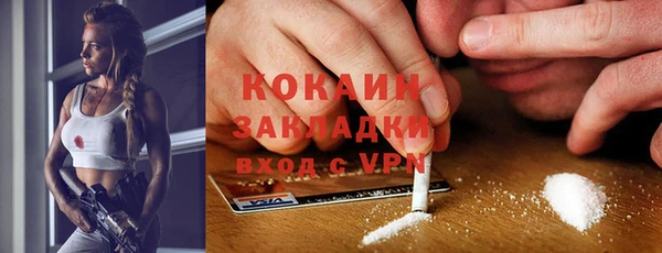 ешки Новодвинск
