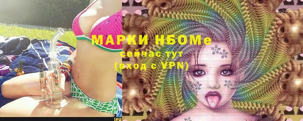 ешки Новодвинск