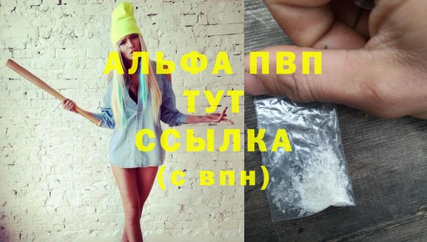 ешки Новодвинск