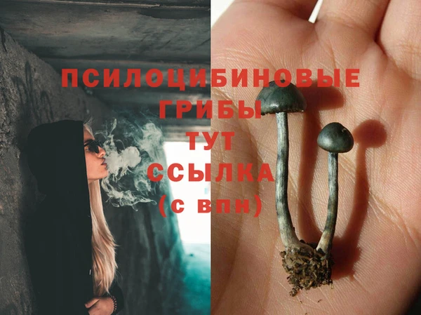 хмурый Новокубанск