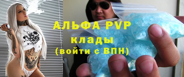 ГАЛЛЮЦИНОГЕННЫЕ ГРИБЫ Новозыбков