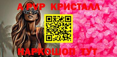 стафф Кандалакша