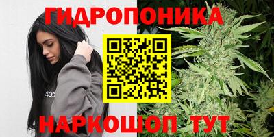 Альфа ПВП Камышлов