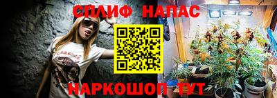 Альфа ПВП Камышлов