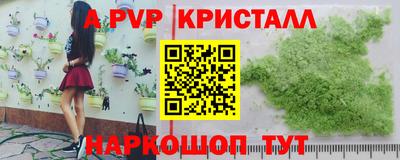 стафф Кандалакша