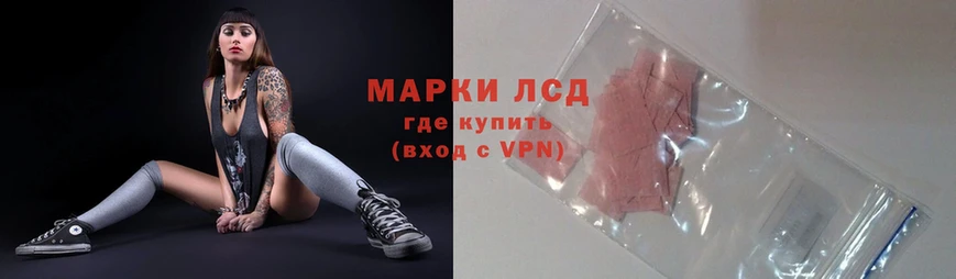 ЛСД экстази ecstasy  где купить   Новоалександровск 