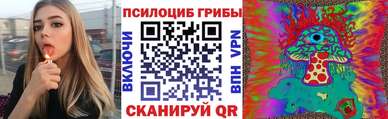 Галлюциногенные грибы прущие грибы  kraken маркетплейс  Новоалександровск 