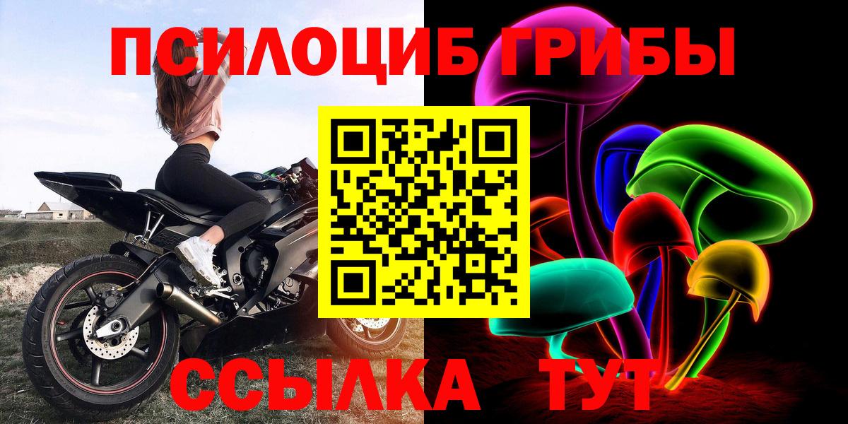 Псилоцибиновые грибы Cubensis Новоалександровск