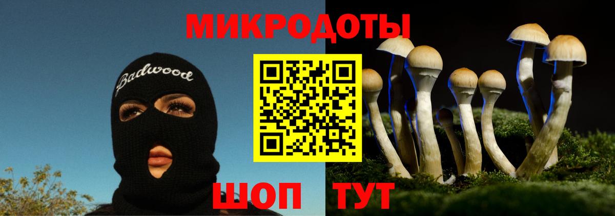 Новоалександровск  Псилоцибиновые грибы GOLDEN TEACHER  Вход с VPN 